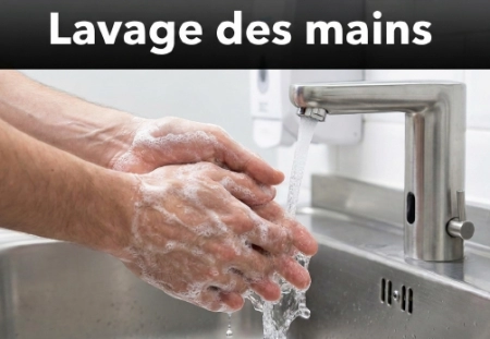 FORMATION EN HYGIENE ET SALUBRITE