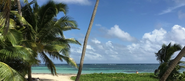 LA MARTINIQUE LA MARTINIQUE